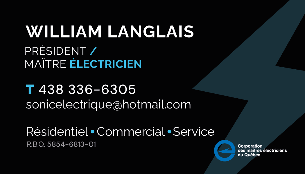 Carte d'affaires Sonic - Face arrière